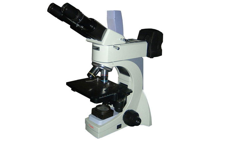 金相显微镜图片