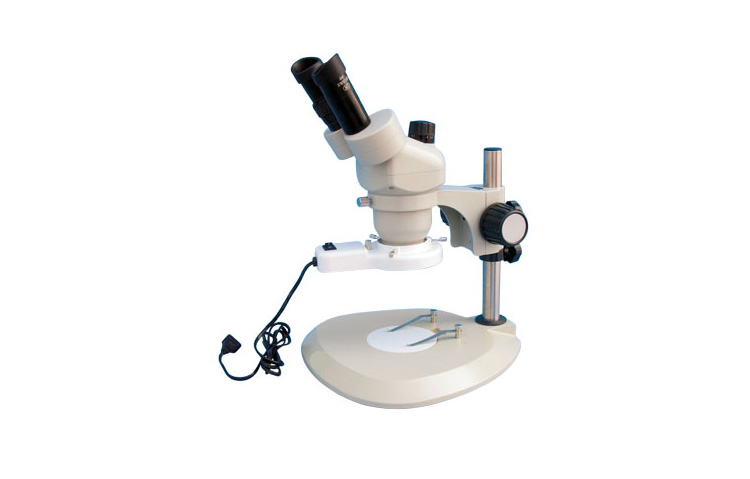 led显微镜光源应用体视显微镜实拍
