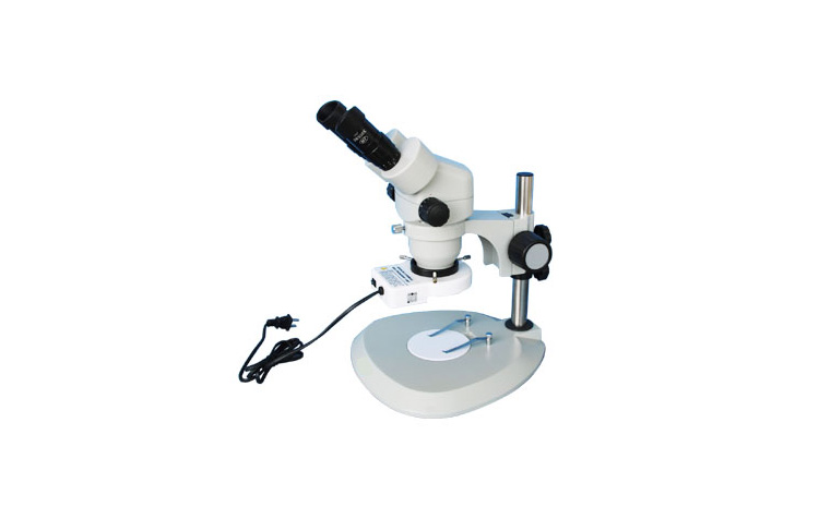 led环形光源在体视显微镜应用实例