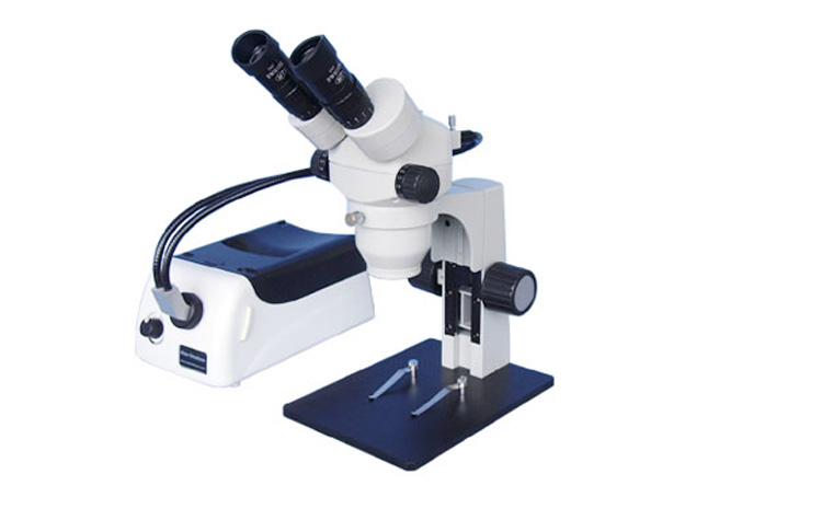 显微镜光纤光源使用示例