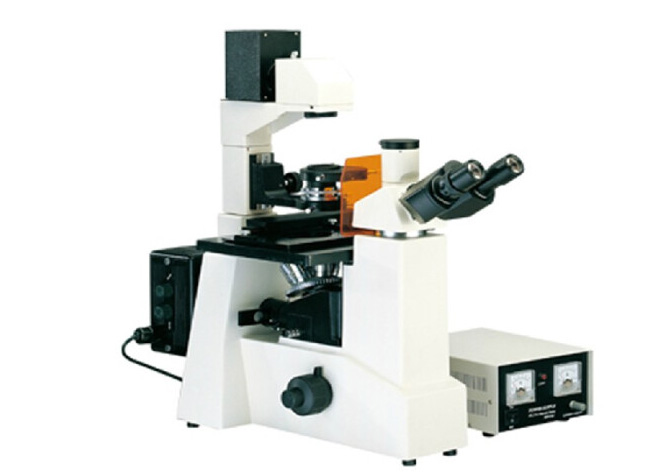微镜光源在倒置显微镜应用案例